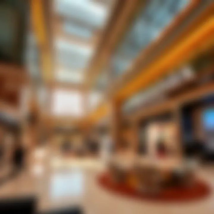 Magnificent Al Dhannah Mall: A Comprehensive Insight into Dubai’s Retail Landscape