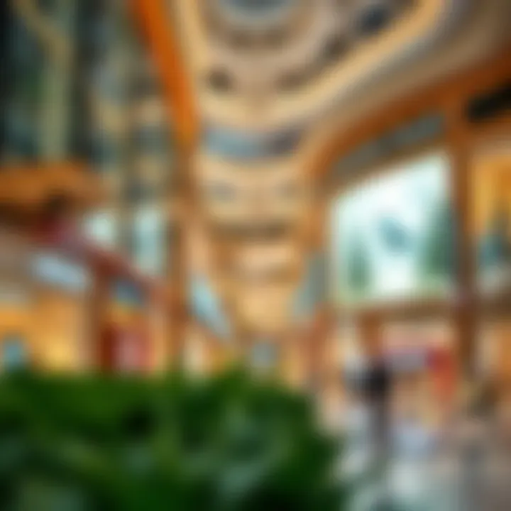 Magnificent Comprehensive Overview of Shopping Malls in Dubai