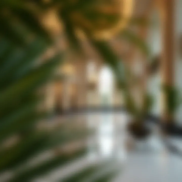 Magnificent Distinguished Real Estate in Dubai: Insights for Investors and Homebuyers