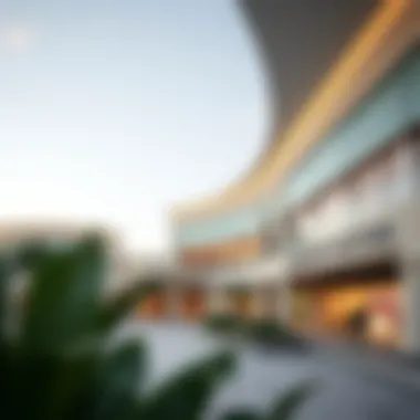 Magnificent Exploring the Community Center and Shops of Damac Hills 2 Magnificent Exploring the Community Center and Shops of Damac Hills 2