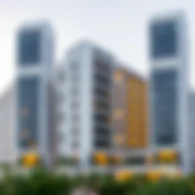 Magnificent Insights into 1 BHK Flats in Dubai: A Comprehensive Analysis Magnificent Insights into 1 BHK Flats in Dubai: A Comprehensive Analysis