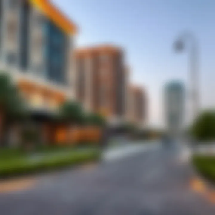 A Comprehensive Examination of Riverland Dubai Entrance Fee Summary
