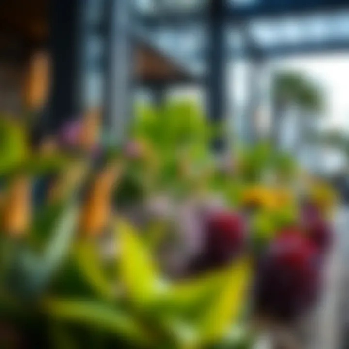 A close-up of diverse plant species used in aura gardens, emphasizing sustainability and ecological benefits.