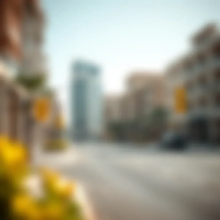 Notable Comprehensive Overview of Hamdan Street Postal Code