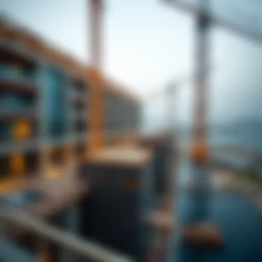 Damac Lagoons Construction Update Summary