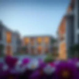 Exploring 1BHK Properties in Silicon Oasis Introduction