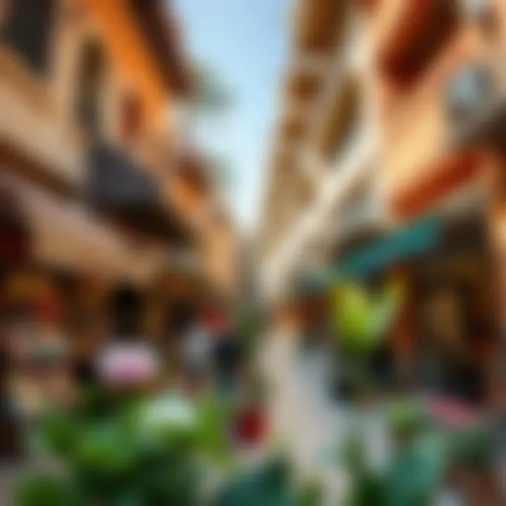 Local Marketplace and Amenities Vibrant marketplace showcasing local businesses and amenities in Al Badaa Satwa