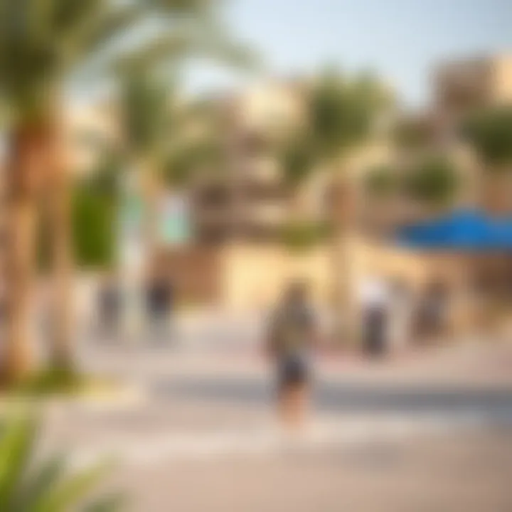 Vibrant Community Amenities in Al Meena Community amenities in Al Meena, emphasizing a vibrant lifestyle