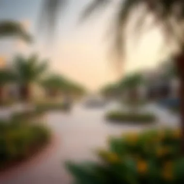 Community Parks in Al Warsan 3 Vibrant community parks and recreational areas in Al Warsan 3