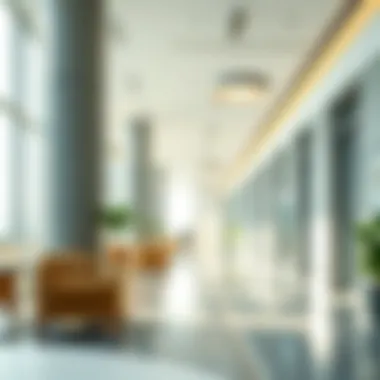 Exploring Offices in Dubai Silicon Oasis Summary