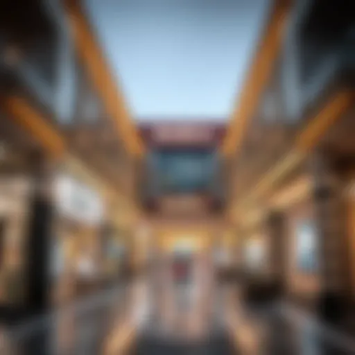 Exploring Ramla Mall Dip: A Guide to Investment Opportunities Introduction