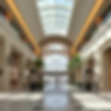 Exploring the Community Center and Shops of Damac Hills 2 Summary Exploring the Community Center and Shops of Damac Hills 2 Summary