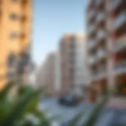 Exploring the Dynamics of 1BHK Rentals in Al Nahda, Dubai Introduction
