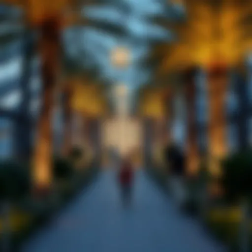 Exploring the Premier Parks in Dubai for Families Introduction