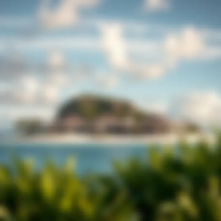 Notable Exploring the Process and Implications of Buying a Private Island Notable Exploring the Process and Implications of Buying a Private Island