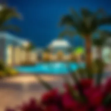 Exploring the Visual Elegance of Nad Al Sheba Gardens Summary