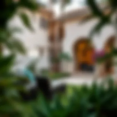 Garden View of a Villa in Al Warqa Garden view of a villa in Al Warqa