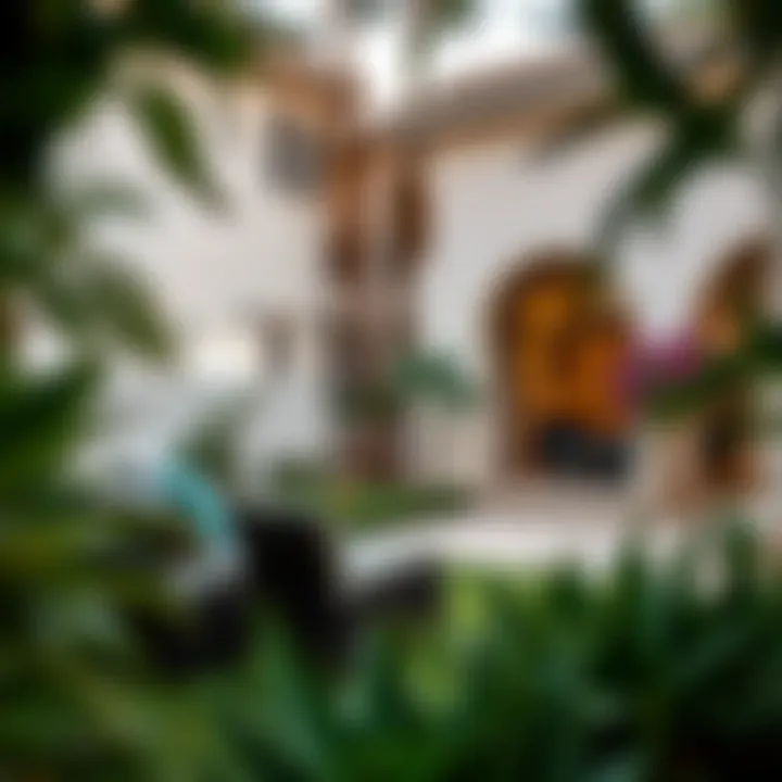 Garden View of a Villa in Al Warqa Garden view of a villa in Al Warqa