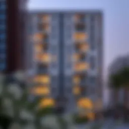 Insights into 1 BHK Flats in Dubai: A Comprehensive Analysis Introduction