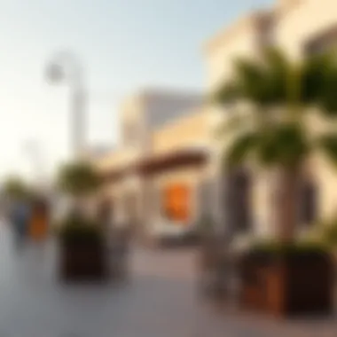 Vibrant community spaces and lifestyle amenities in Madinet Zayed