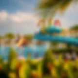 The Premier Waterpark in Dubai: An In-Depth Exploration Introduction