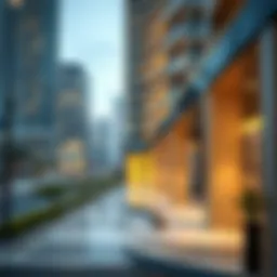 Understanding Trade Licenses in Dubai Introduction