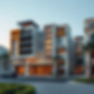 Understanding Trade Licenses in Dubai Summary