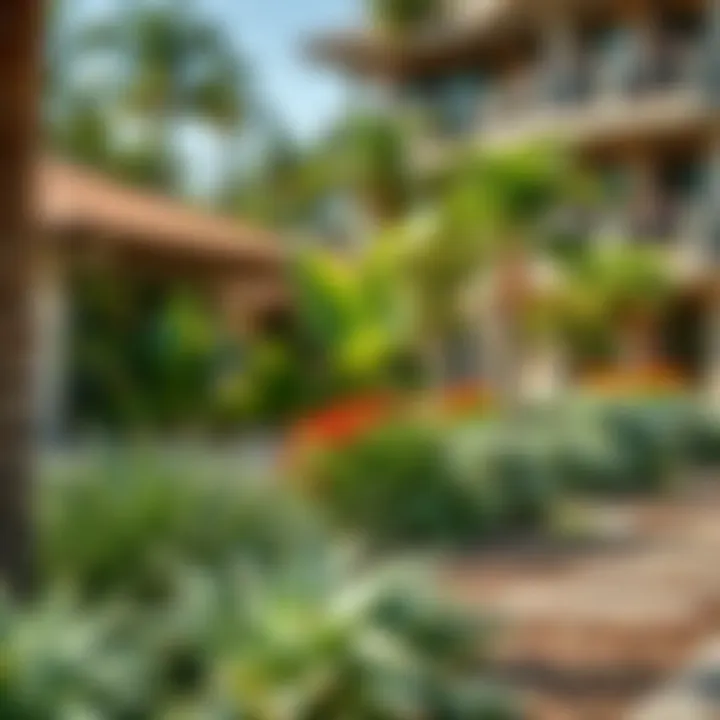 Eco-Friendly Landscaping at Vida Creek Beach Hotel Sustainable practices showcased in the hotel's eco-friendly landscaping